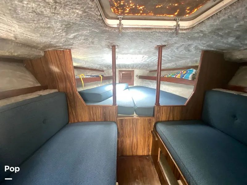 Slide: The Image of Apollo 31 MAXIM V 1977 - 14395691