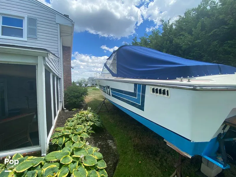 Slide: The Image of Apollo 31 MAXIM V 1977 - 14395649
