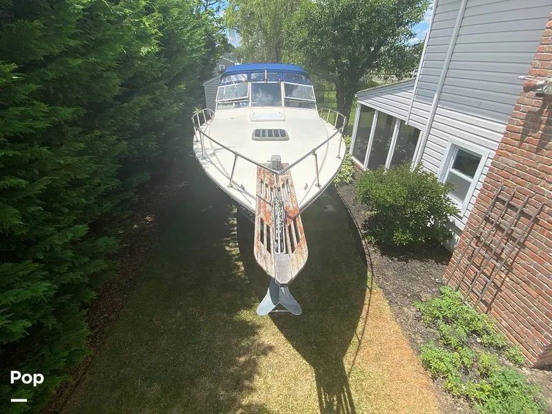 Slide: The Image of Apollo 31 MAXIM V 1977 - 14395662