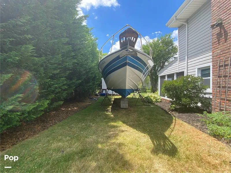 Slide: The Image of Apollo 31 MAXIM V 1977 - 14395664