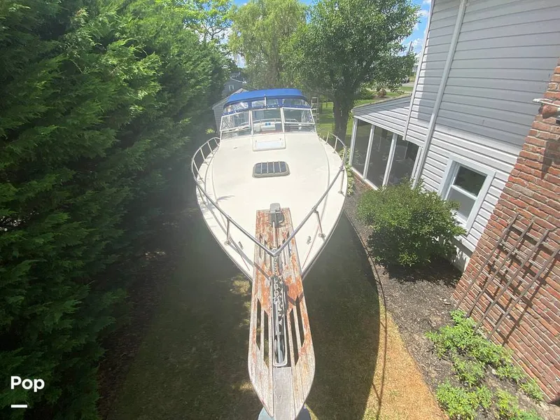 Slide: The Image of Apollo 31 MAXIM V 1977 - 14395794