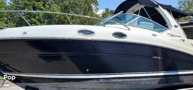 The Image of Sea Ray 260 Sundancer 2007 - 16006701