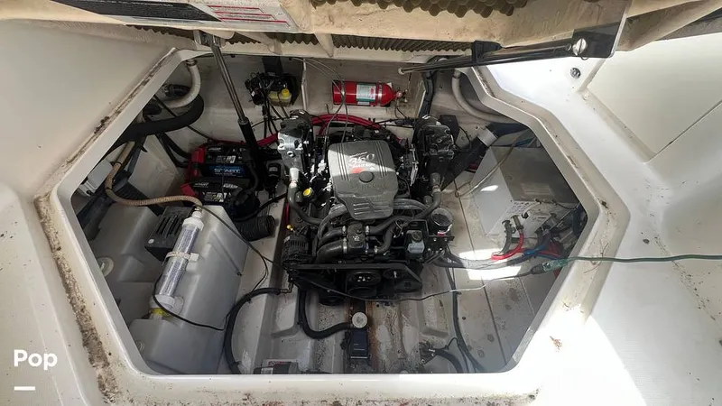 Slide: The Image of Sea Ray 260 Sundancer 2007 - 15254862