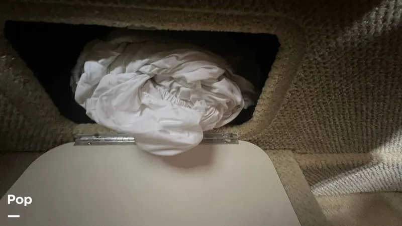 Slide: The Image of Sea Ray 260 Sundancer 2007 - 14642482