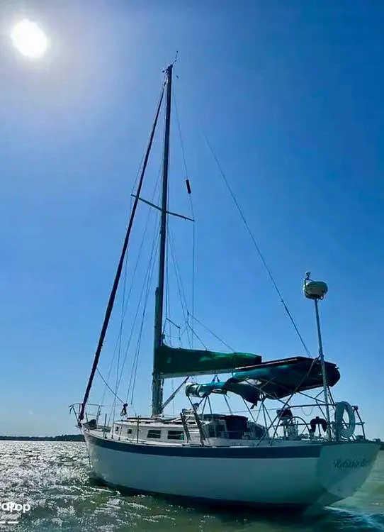 The Image of Hinterhoeller Niagra 35 1979 - 14370890