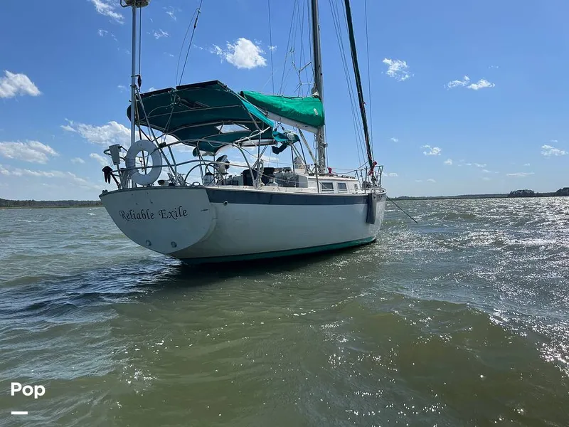 Slide: The Image of Hinterhoeller Niagra 35 1979 - 14380175