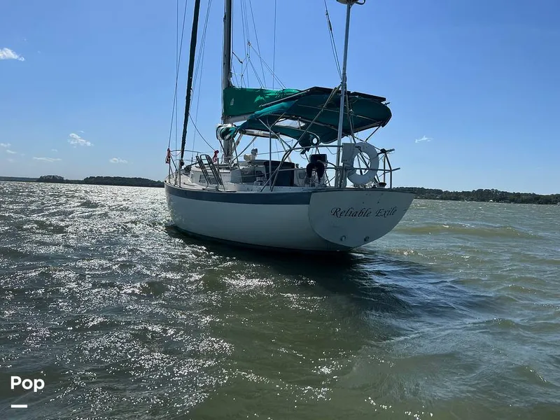 Slide: The Image of Hinterhoeller Niagra 35 1979 - 14380176