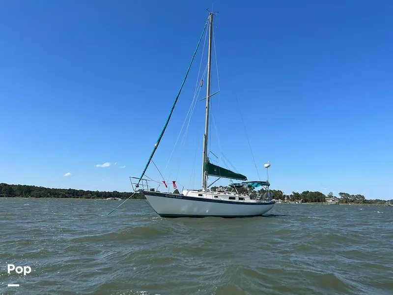 Slide: The Image of Hinterhoeller Niagra 35 1979 - 14380466