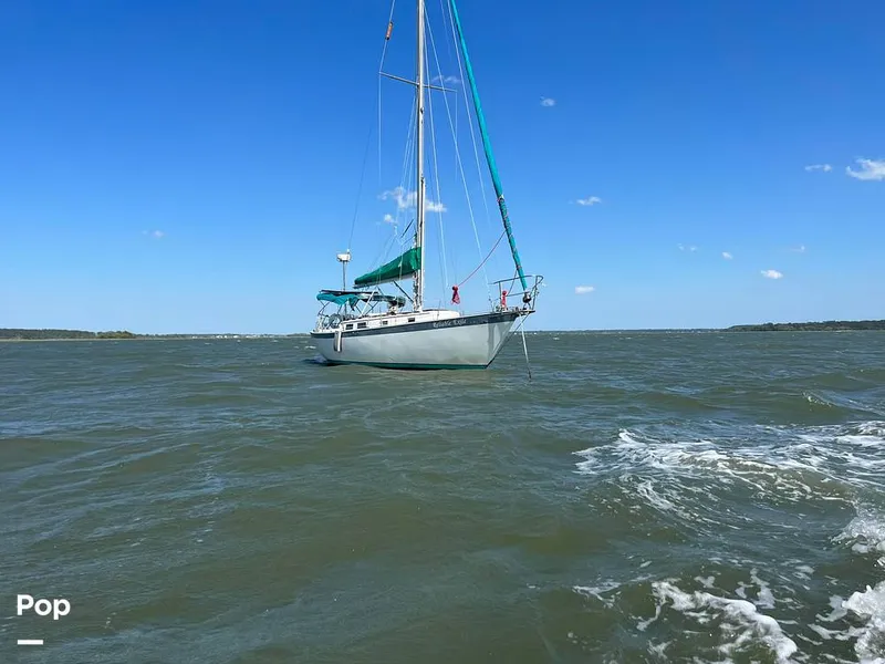 Slide: The Image of Hinterhoeller Niagra 35 1979 - 14380468