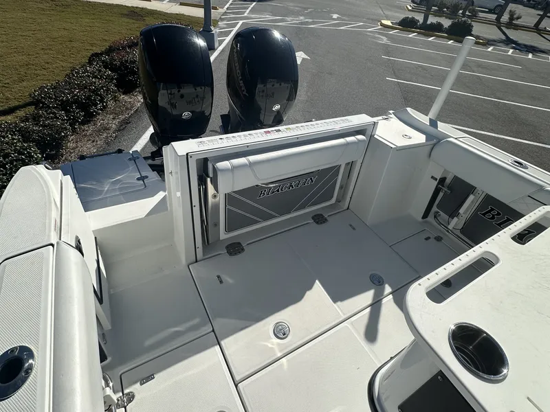 Slide: The Image of Blackfin 252 CC 2021 - 11