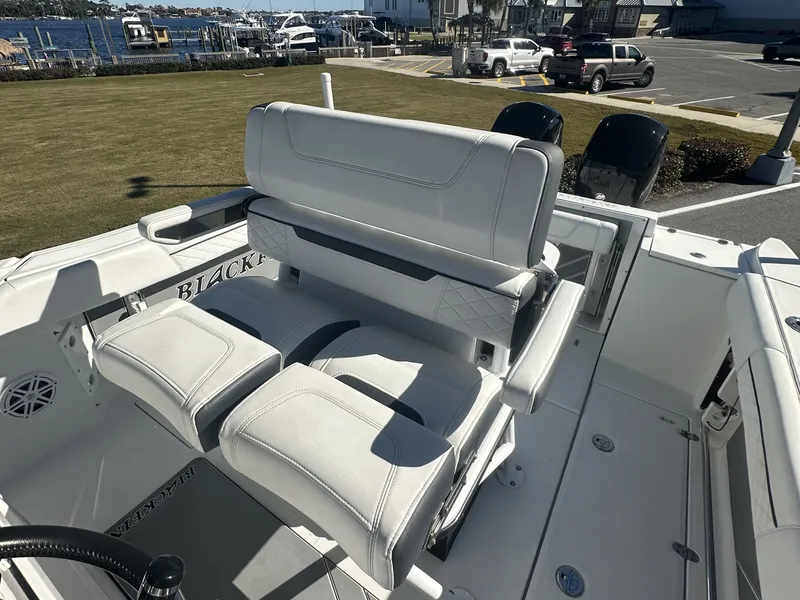 Slide: The Image of Blackfin 252 CC 2021 - 15