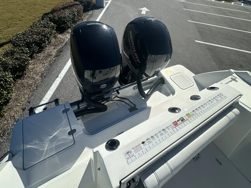 Slide: The Image of Blackfin 252 CC 2021 - 9