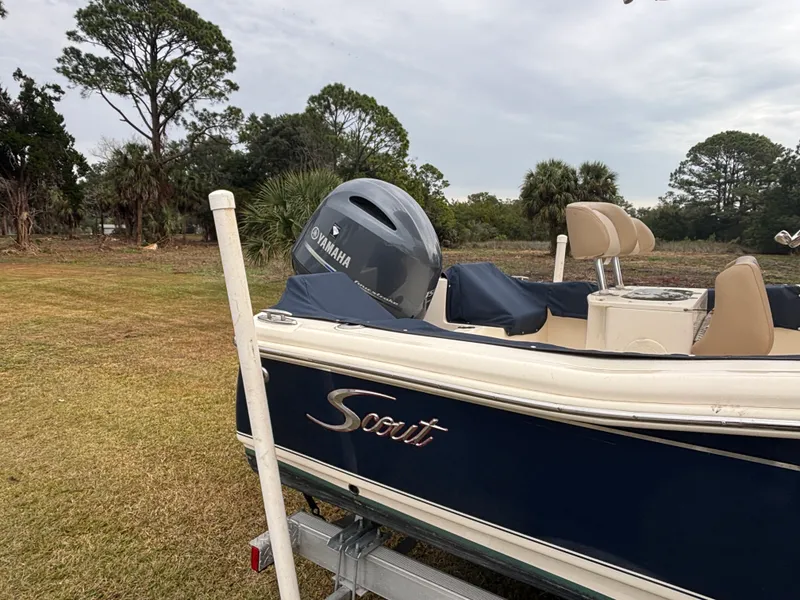 Slide: The Image of Scout 195 SF 2023 - 4