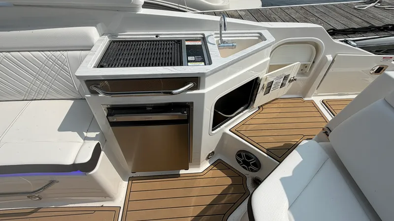 Slide: The Image of Sea Ray SDX 290 2026 - 13