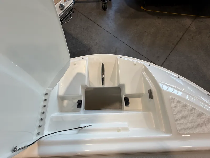 Slide: The Image of Sea Ray SDX 230 2026 - 41
