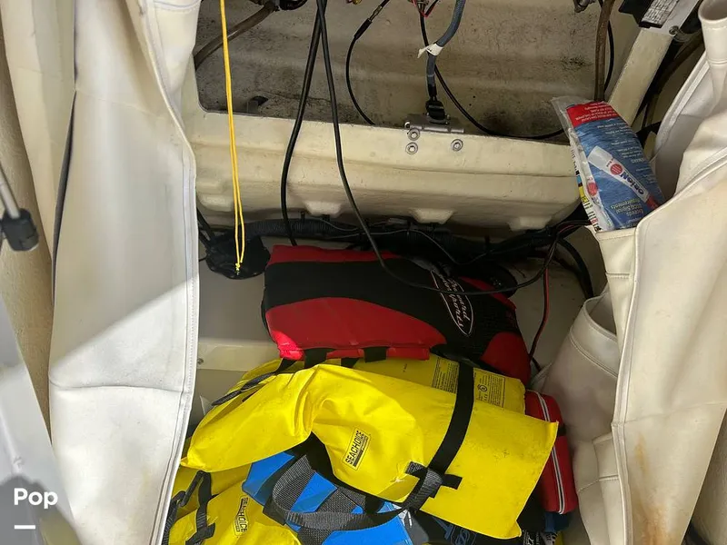 Slide: The Image of Scarab 195 Open ID 2018 - 14670449