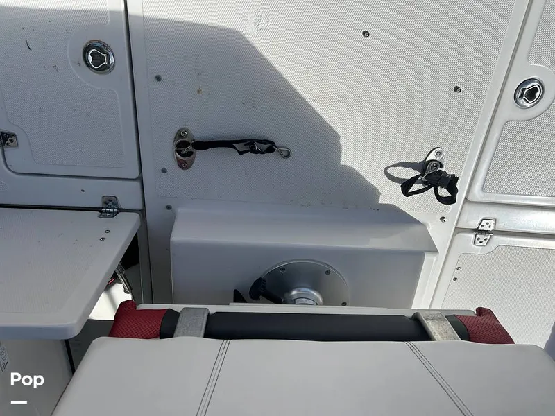 Slide: The Image of Scarab 195 Open ID 2018 - 14670457