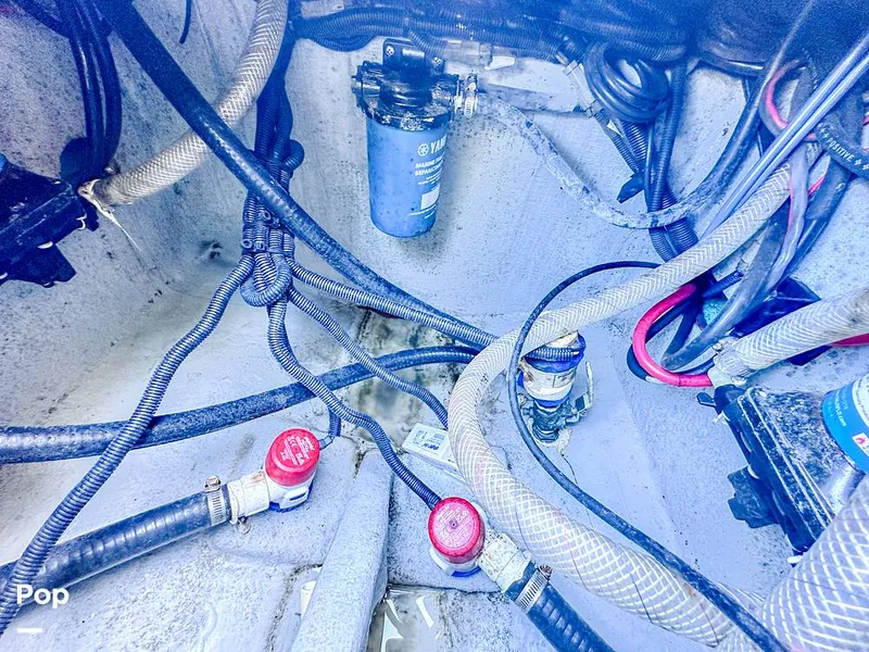 Slide: The Image of Bil - 14748934