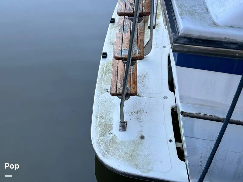 Slide: The Image of Jefferson 42 Sundeck 1986 - 14481881