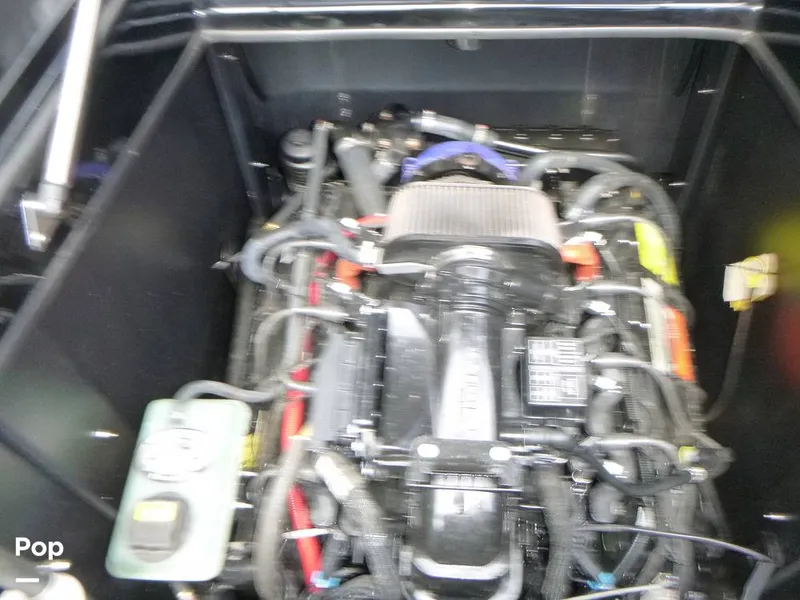 Slide: The Image of Tige zx5 2019 - 14580102