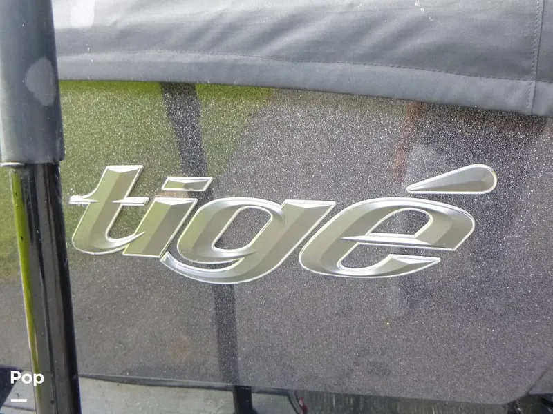 Slide: The Image of Tige zx5 2019 - 14580067