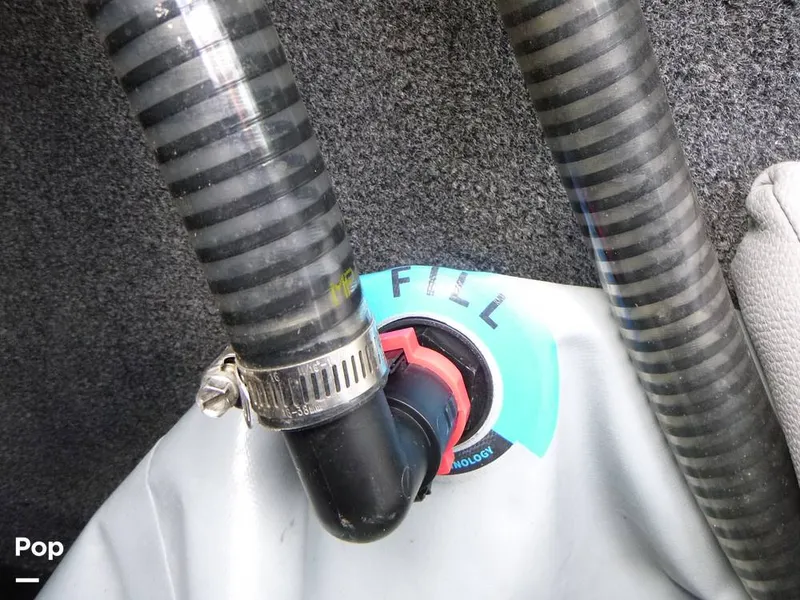 Slide: The Image of Tige zx5 2019 - 14580107