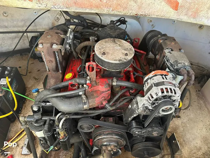 Slide: The Image of Chaparral Sunesta 254 2004 - 14451176