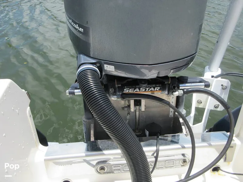 Slide: The Image of Robalo 246 Cayman SD 2018 - 14473326