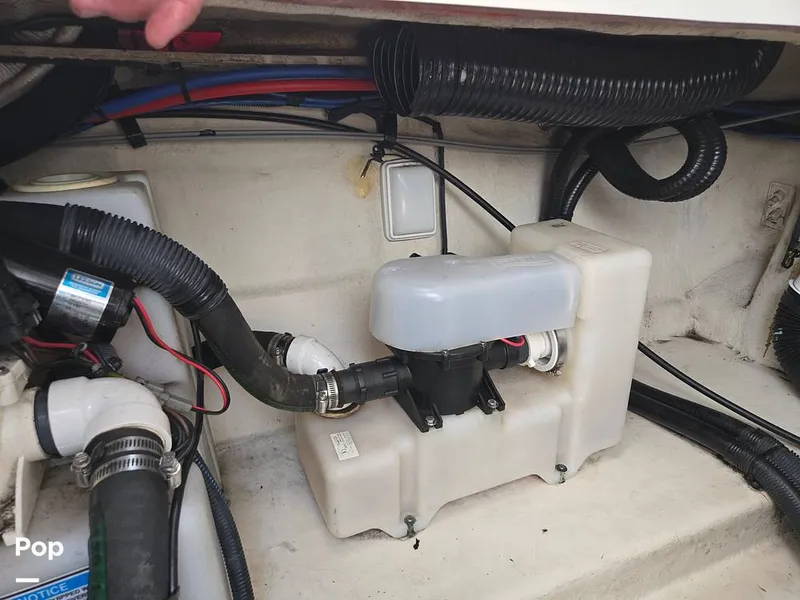 Slide: The Image of Sea Ray 280 Sundancer 2005 - 14501614