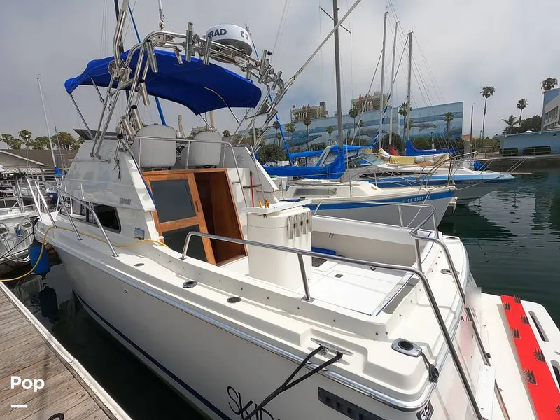 Slide: The Image of Skipjack Flybridge 262 1994 - 14503458