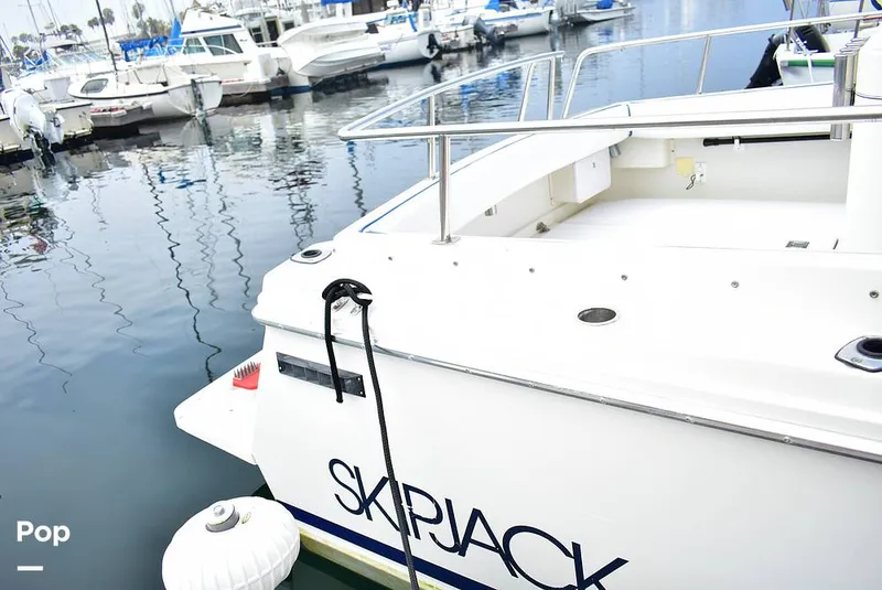 Slide: The Image of Skipjack Flybridge 262 1994 - 14671020