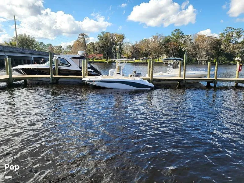 Slide: The Image of Yamaha FSH 190 Sport 2021 - 16291884