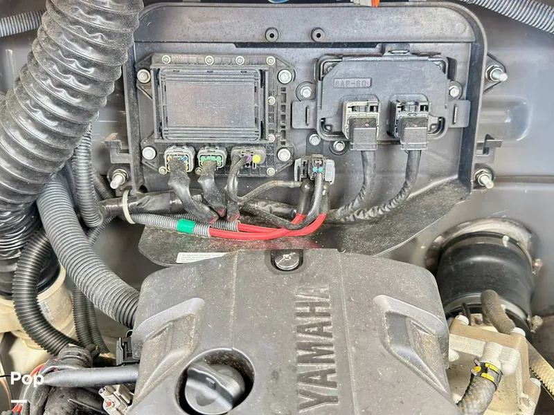 Slide: The Image of Yamaha FSH 190 Sport 2021 - 16307949