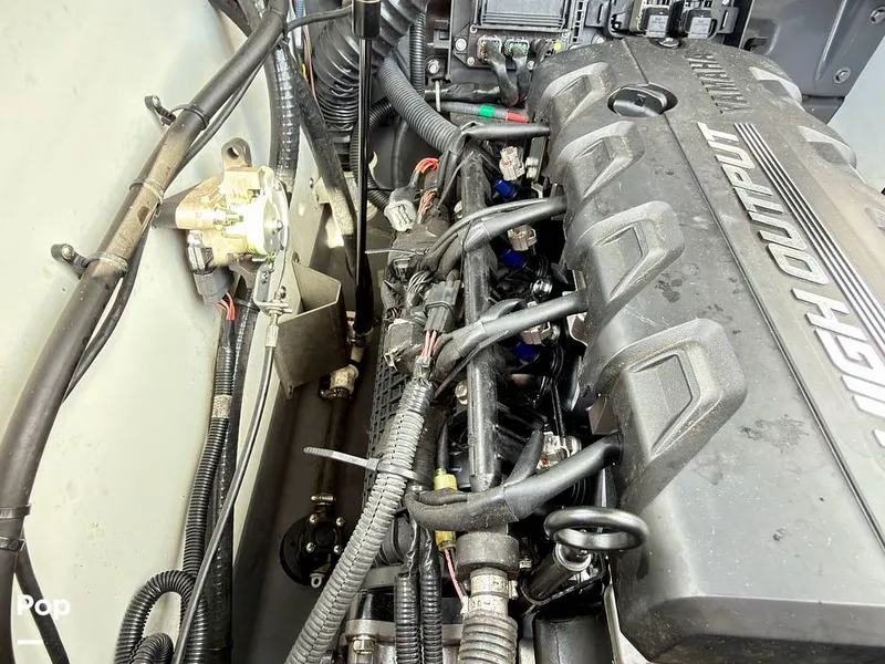 Slide: The Image of Yamaha FSH 190 Sport 2021 - 16307950