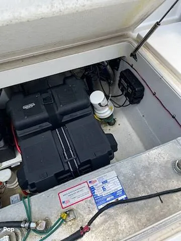 Slide: The Image of Stamas Aegean 289 WA 2014 - 14528716