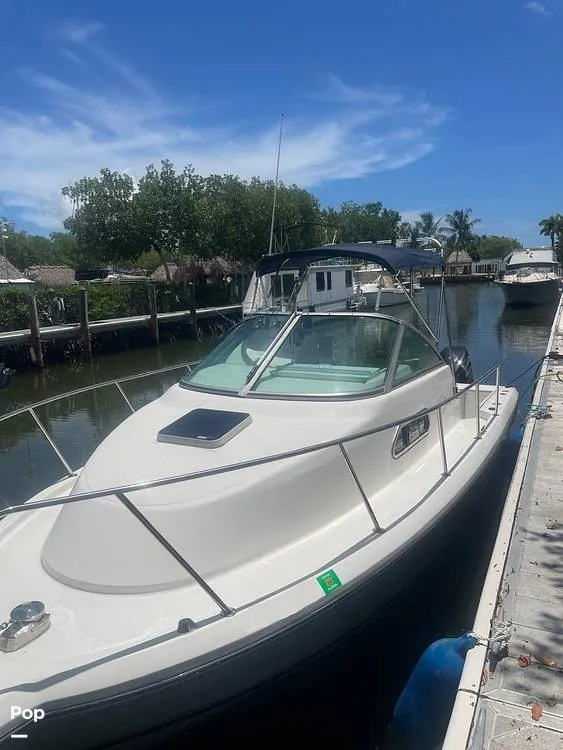 Slide: The Image of Stamas Aegean 289 WA 2014 - 14516904