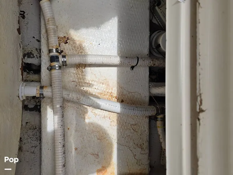 Slide: The Image of Mako 293 Deluxe 1995 - 14648988