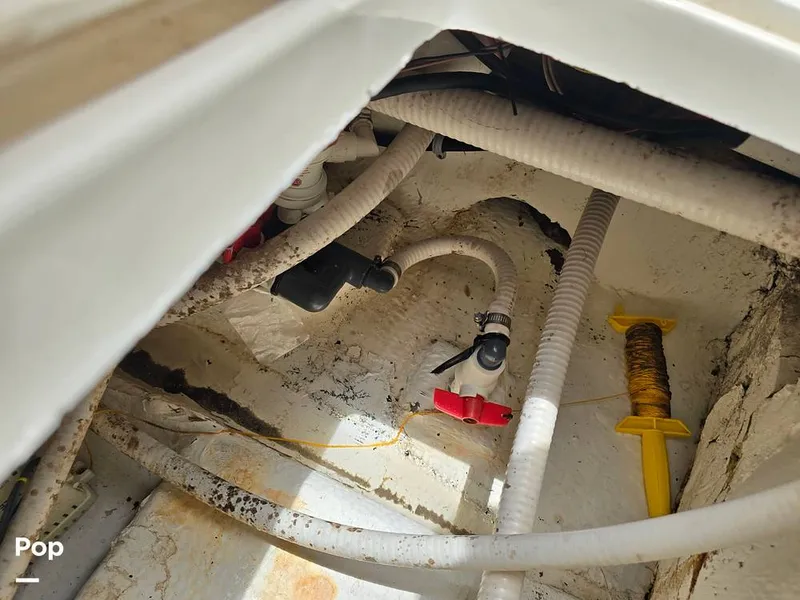 Slide: The Image of Mako 293 Deluxe 1995 - 14648989