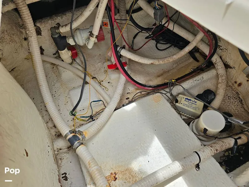 Slide: The Image of Mako 293 Deluxe 1995 - 14648991