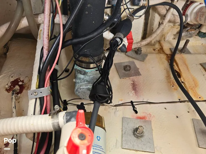 Slide: The Image of Mako 293 Deluxe 1995 - 14648992