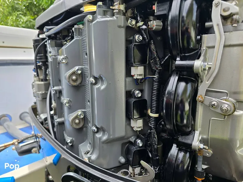 Slide: The Image of Mako 293 Deluxe 1995 - 14648994