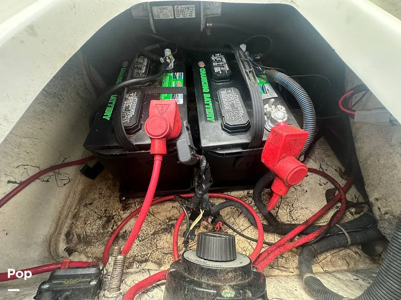 Slide: The Image of Hurricane SD191 2020 - 14668276