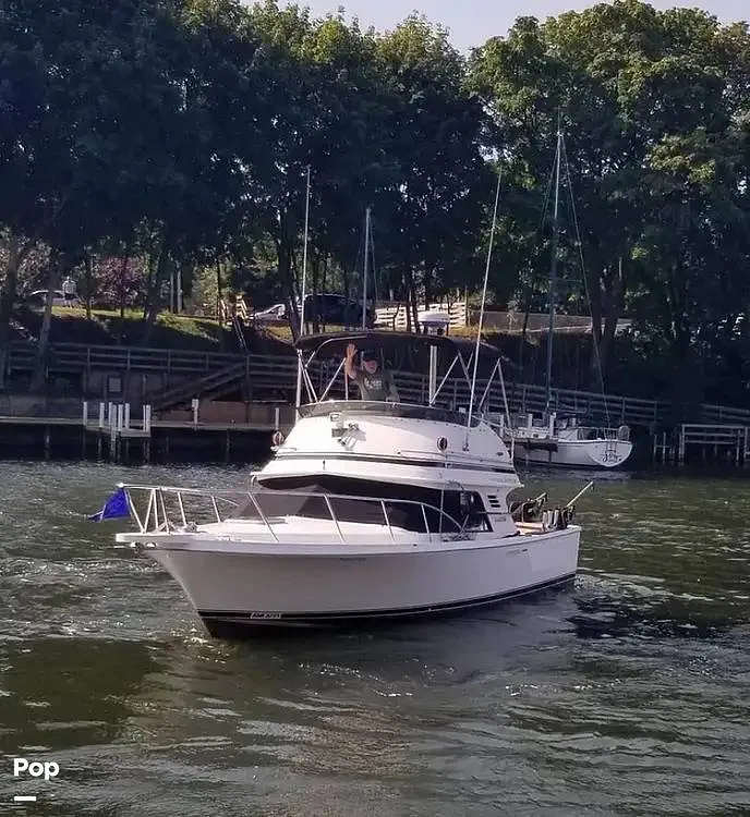 The Image of Port View - 14612392