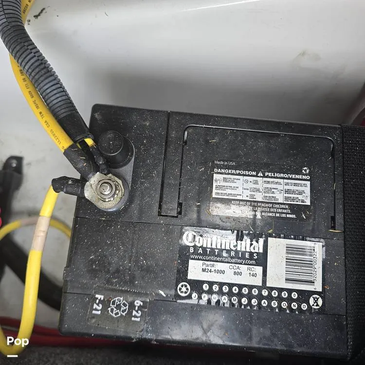 Slide: The Image of Scarab 165 ID 2022 - 14595879