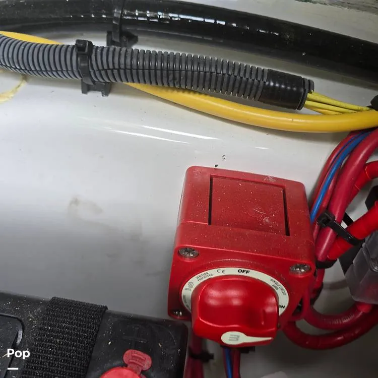 Slide: The Image of Scarab 165 ID 2022 - 14595880