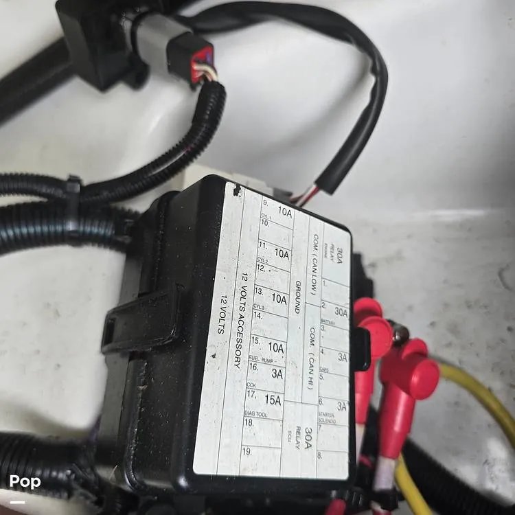 Slide: The Image of Scarab 165 ID 2022 - 14595881