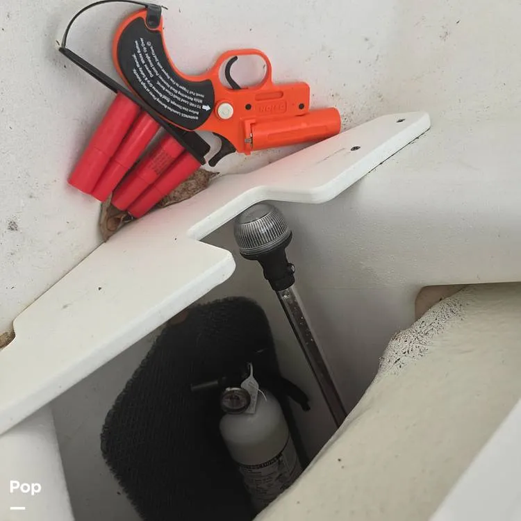 Slide: The Image of Scarab 165 ID 2022 - 14595887