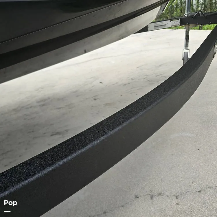 Slide: The Image of Scarab 165 ID 2022 - 14595917