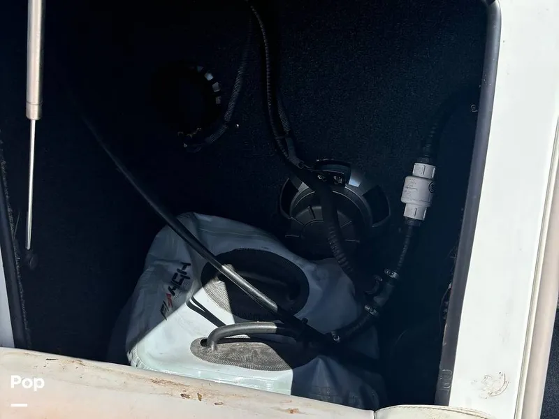 Slide: The Image of Tige RZ2 2008 - 14597616