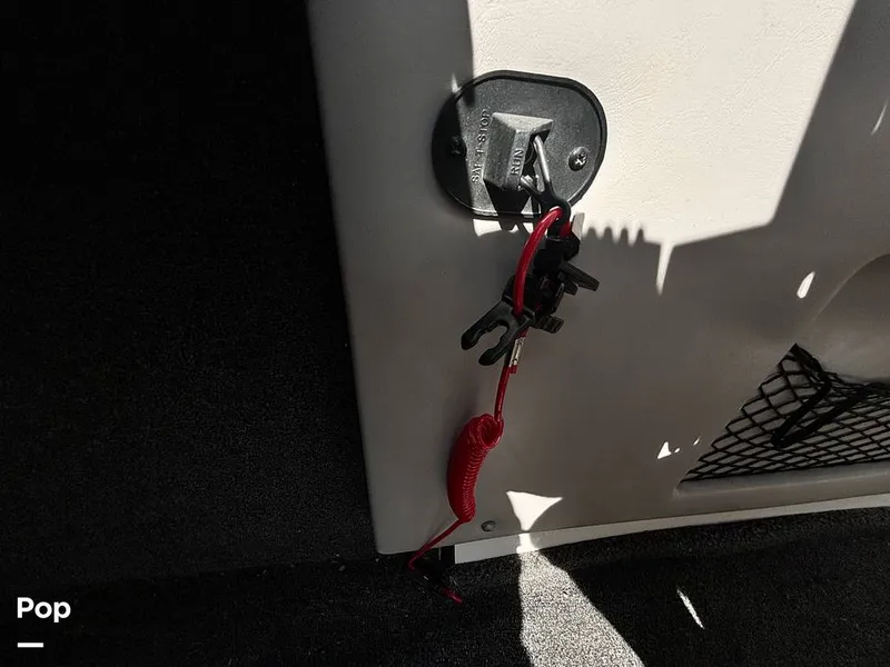 Slide: The Image of Tige RZ2 2008 - 14597646